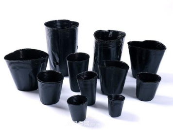 关于月季花盆的尺寸问题