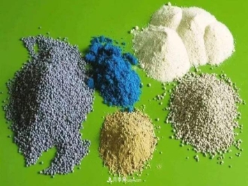 月季花施什么肥料最好