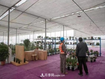 杭州“护花使者”让苗木健康过冬