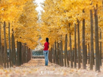 2021绿化苗木行业两极分化加剧 你是哪一级？