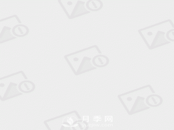 大叶女贞和小叶女贞到底有哪些区别呢？就叶子不同？