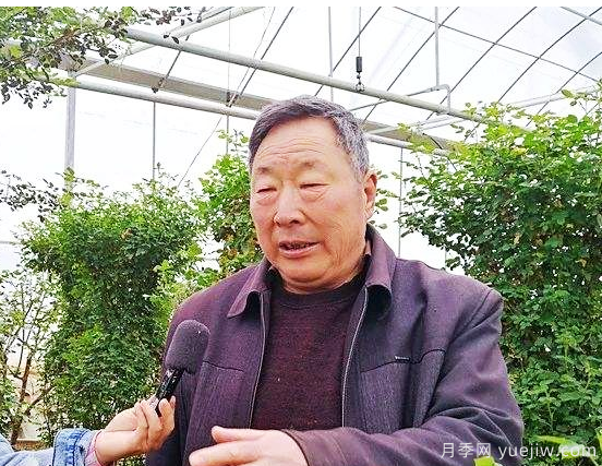 南阳月季大师里的父子兵： 匠心承一脉 莳花弄草人(图2)