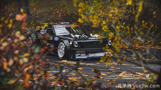 白玫瑰，粉玫瑰，红玫瑰分别代表什么意思？(图2)