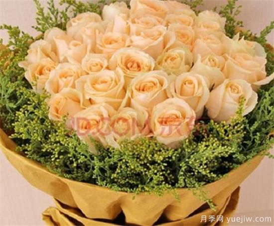 香槟玫瑰的花语是什么 19支和99支香槟玫瑰寓意象征(图2)