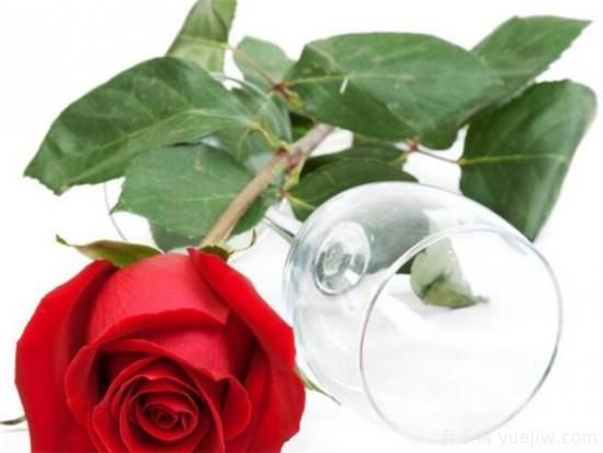 白玫瑰和红玫瑰代表什么  二者有什么区别(图1)