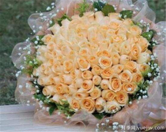 香槟玫瑰多少钱一朵 香槟玫瑰适合送给什么人(图3)