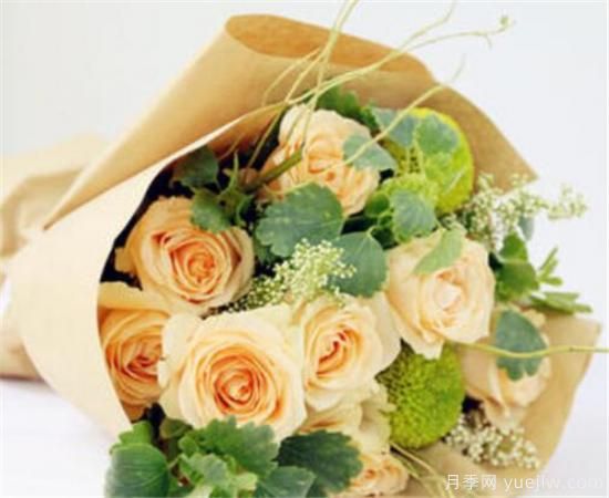 香槟玫瑰多少钱一朵 香槟玫瑰适合送给什么人(图1)