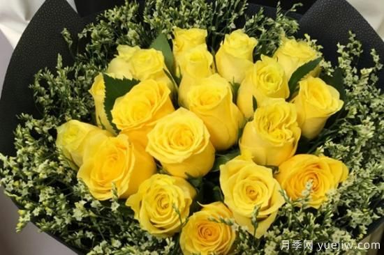 19朵玫瑰花有什么寓意(图1)