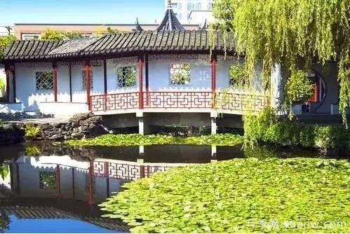 庭院设计与植物搭配的6大风格和30种玩法(图12)