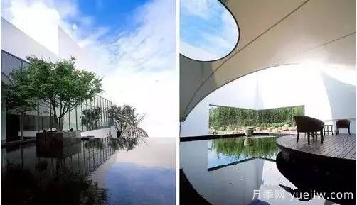 庭院设计与植物搭配的6大风格和30种玩法(图15)