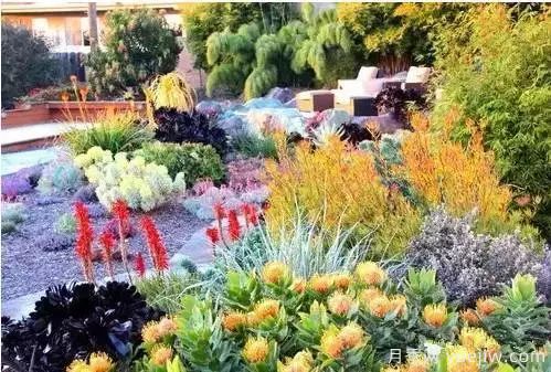 庭院设计与植物搭配的6大风格和30种玩法(图27)
