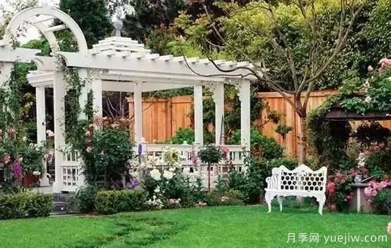 庭院设计与植物搭配的6大风格和30种玩法(图22)