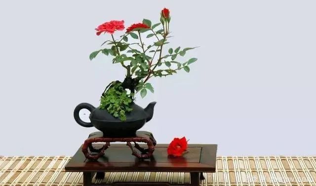 如何制作漂亮的月季盆景？艺术品来了(图1)