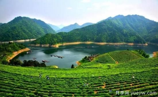 河南人口第一大县是谁？邓州常住人口超124万人，还是固始县(图2)