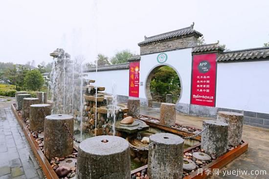 河南鄢陵：中原花木第一村的美丽新图(图2)