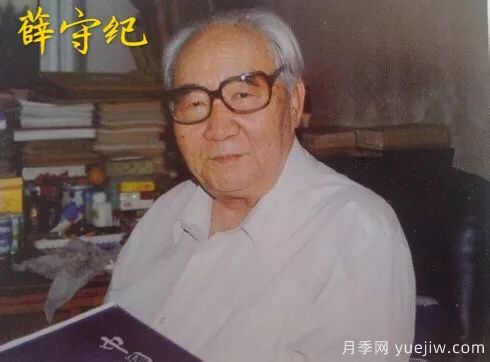 谈谈中国月季的发展史，致敬中国的月季育种家前辈们！(图21)