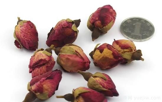 月季和玫瑰如何区分？图解科普很详细(图15)